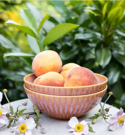 LUBIANA STONEWARE BLUSH | Salaterka 17 cm luz x 6 szt. | kolor łososiowy