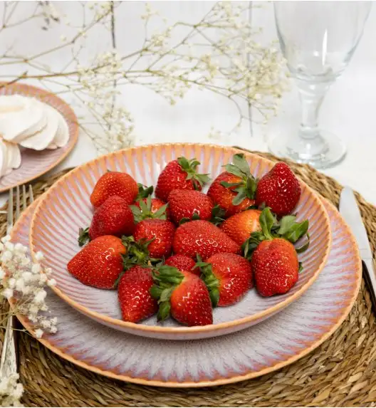 LUBIANA STONEWARE CERAMIKA BLUSH | Serwis obiadowy 24 elementy dla 6 osób | kolor łososiowy