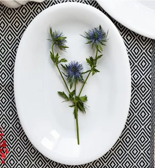 LUBIANA CORONA 3258 Półmis owalny 28 cm | biała porcelana 