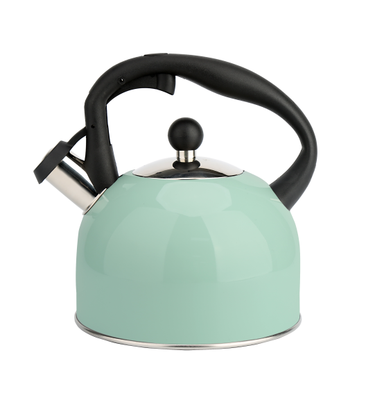 MG HOME Galaxy Pure Czajnik tradycyjny ze stali nierdzewnej 2,5 L / Miętowy