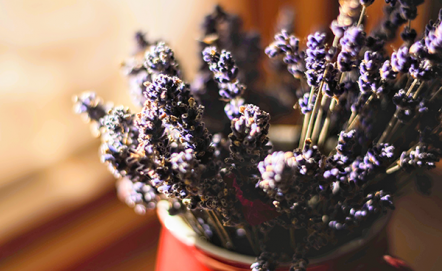 Dodatki do kuchni w stylu prowansalskim