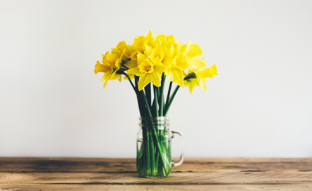 Wiosenne dodatki do kuchni