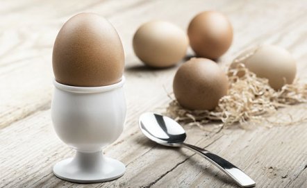 Jajowar – czy warto mieć go w kuchni?