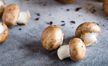 Jak przygotować grzyby tuż po zebraniu?
