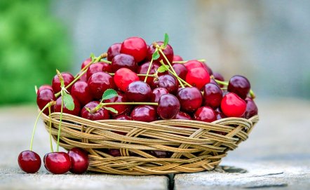 Jak drylować wiśnie? Sprawdzone sposoby