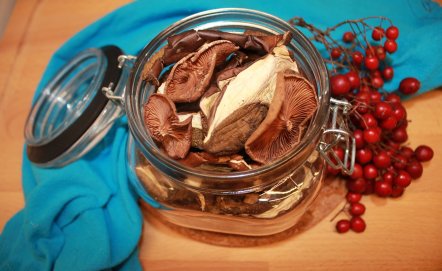 Jak przechowywać grzyby suszone?