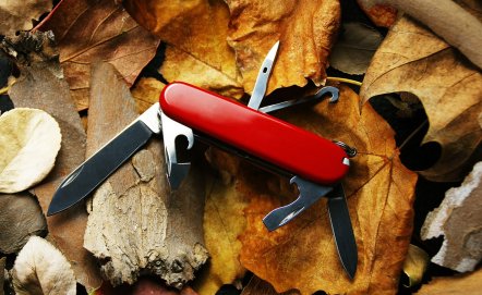 Jaki nóż na biwak? Praktyczny poradnik